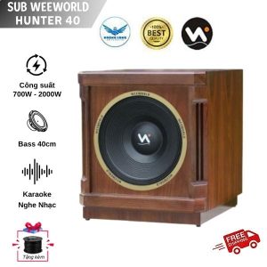 Loa Sub Hơi Hunter 40
